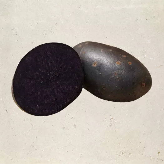 Aardappel Truffette - 5kg