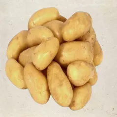 Pomme de terre Charlotte  - 1kg