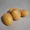 Aardappel Bernadette - 5kg