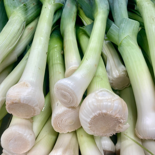 Poireau perpétuel - le plant