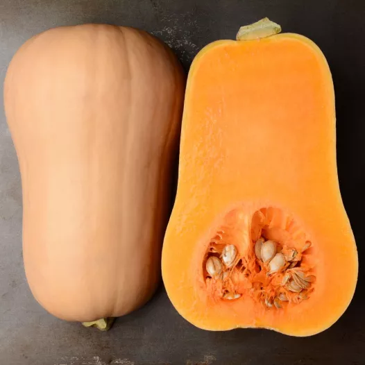 Muskaatpompoen Butternut