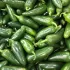 Piment Jalapeno