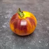 Tomate Wolverine - 1 plant