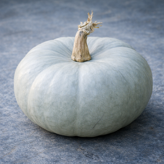 Potiron bleu de Hongrie