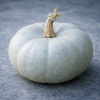 Potiron Bleu de Hongrie