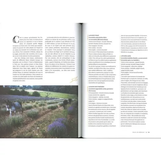 Le pouvoir ancestral des plantes