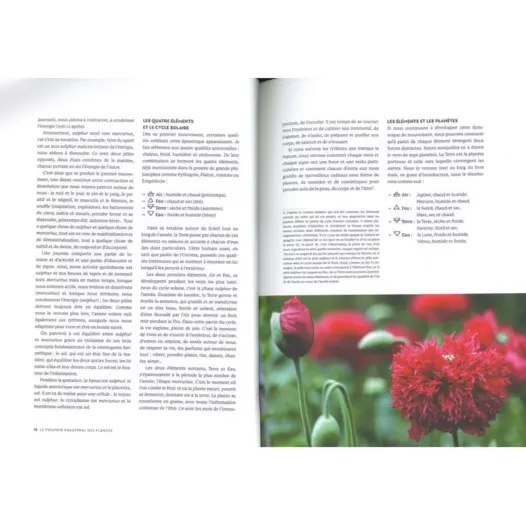 Le pouvoir ancestral des plantes