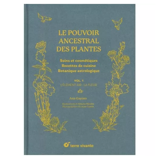 Le pouvoir ancestral des plantes
