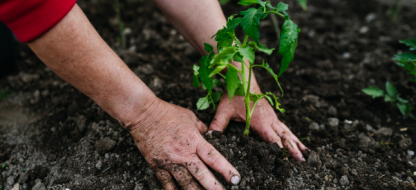 Wat doen we in de tweede helft van mei in de tuin?