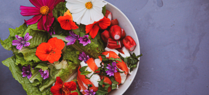 Eetbare bloemen: onze selectie en advies