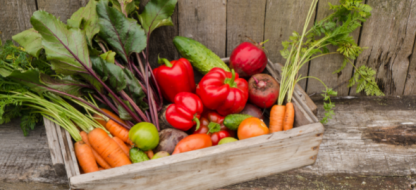 Les légumes du potager sont-ils vraiment meilleurs pour la santé ?