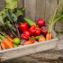 Les légumes du potager sont-ils vraiment meilleurs pour la santé ?