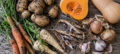 Un potager pour être plus autonome face aux crises