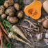Un potager pour être plus autonome face aux crises