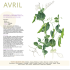 Le Calendrier Mural 2023 du potager Bio