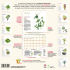 Le Calendrier Mural 2023 du potager Bio