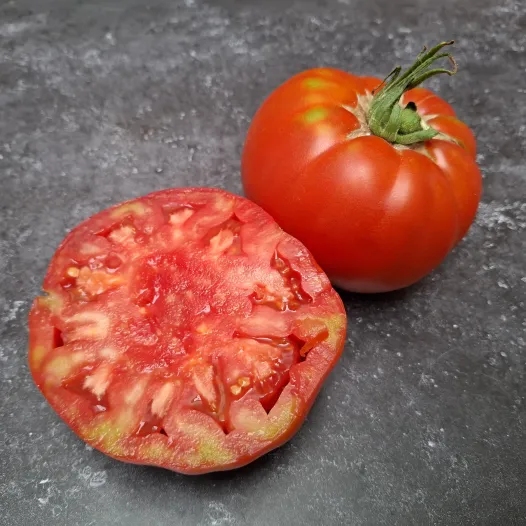 Tomate Couilles de taureau
