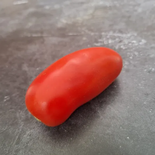 Tomate Abbattista