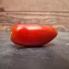 Tomaat Abbattista
