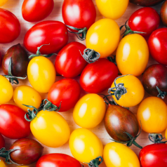 Tomate cerise en mélange