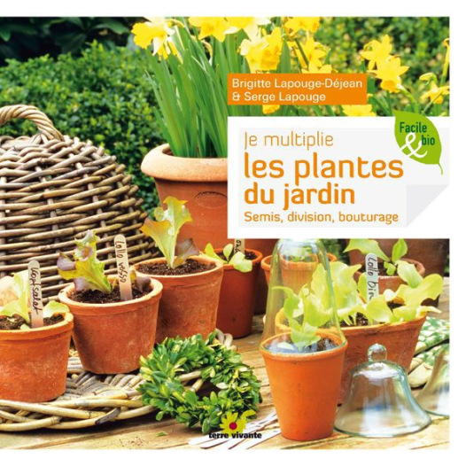 je multiplie les plantes du jardin