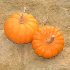 Courge Jack Be Little Courge Jack Be Little