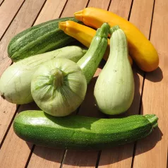 Courgettes en mélange Courgettes en mélange