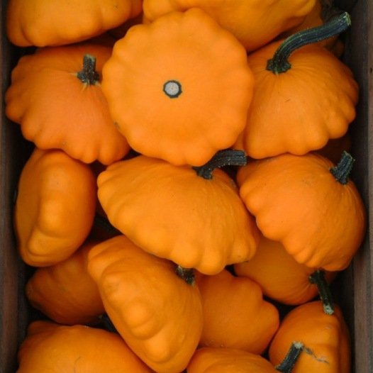 Pâtisson Orange