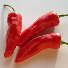 Piment d'Espelette Piment d'Espelette