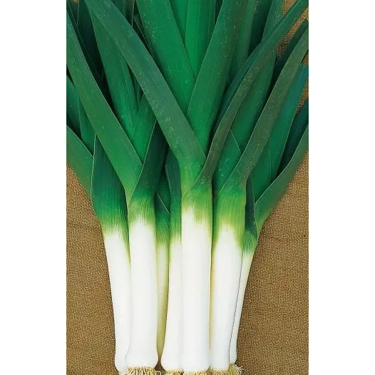 Winter-Prei Armor Winter-Prei Armor