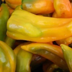 Paprika Oro Paprika Oro