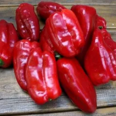 Zachte paprika uit Spanje Zachte paprika uit Spanje