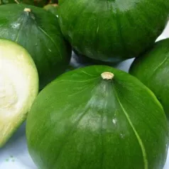 Pompoen Zapallito del Tronco Pompoen Zapallito del Tronco