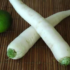 Radis Daikon "Minowase Summer Cross" Radis Daikon "Minowase Summer Cross"
