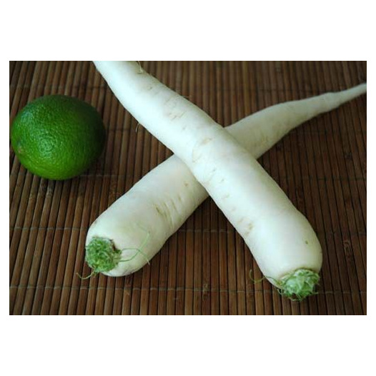 Radis Daikon "Minowase Summer Cross"