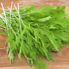 Salade asiatique Mizuna Salade asiatique Mizuna