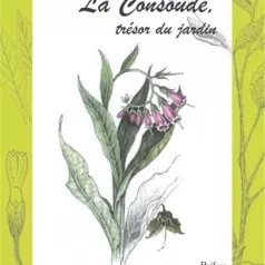 La Consoude, trésor du jardin La Consoude, trésor du jardin