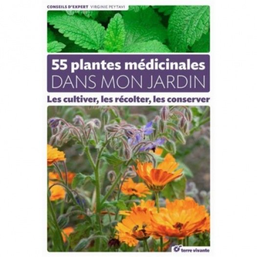 55 plantes médicinales dans mon potager