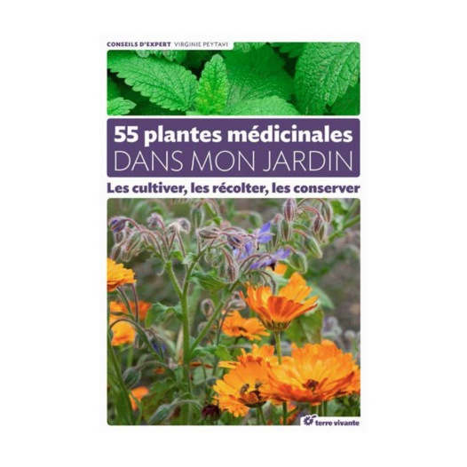 55 plantes médicinales dans mon potager