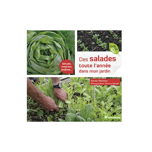 Des salades toute l'année dans mon jardin