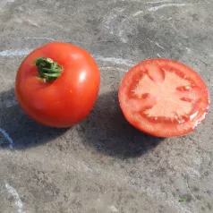 Tomate Charnue de Huy Tomate Charnue de Huy