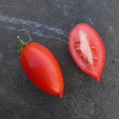 Tomate Prolifique de Falisolle Tomate Prolifique de Falisolle