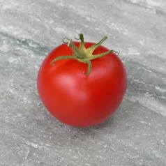 Tomate Canabec rose Tomate Canabec rose