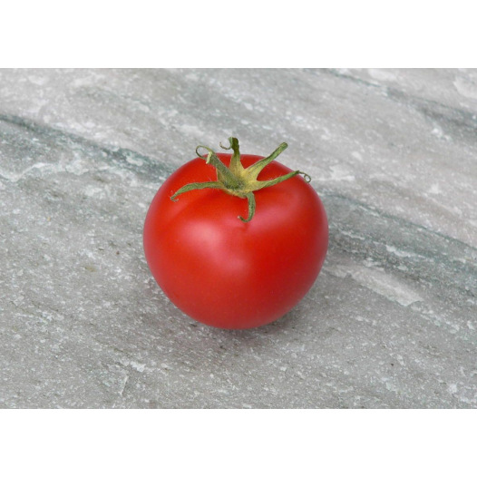 Tomate Canabec rose