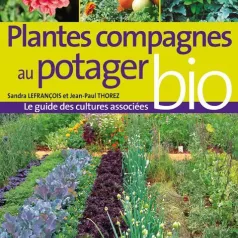 Plantes compagnes au potager bio Plantes compagnes au potager bio