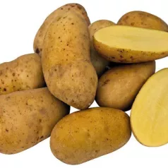 Pomme de terre Charlotte  - 1kg Pomme de terre Charlotte  - 1kg