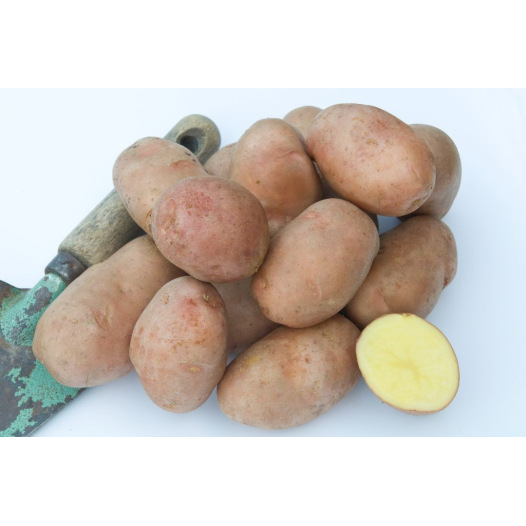 Geurloos intellectueel bevroren Pomme de terre Rosabelle - 1kg