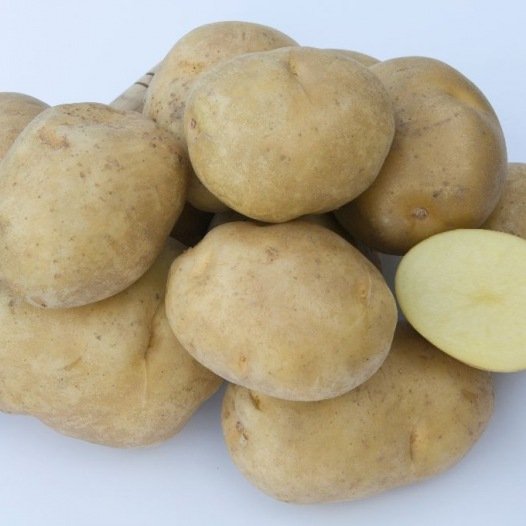 Aardappel Sirtema - 1KG