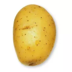 Pomme de terre Agila - 5kg Pomme de terre Agila - 5kg