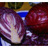 Rodekool Rodynda